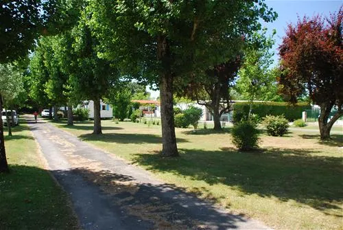 camping-la-borderie-saint-palais-sur-mer-cscs3