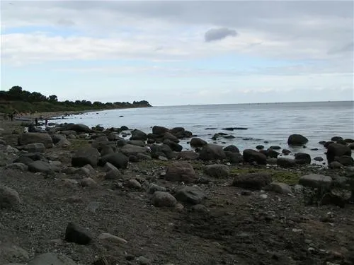 camping-ostsee-katharinenhof-fehmarn-phycw
