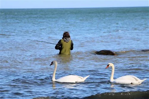 camping-ostsee-katharinenhof-fehmarn-xzzuw