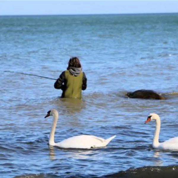 camping-ostsee-katharinenhof-fehmarn-xzzuw