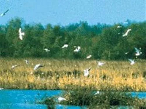 camping-de-goede-hoop-eibergen-txabe