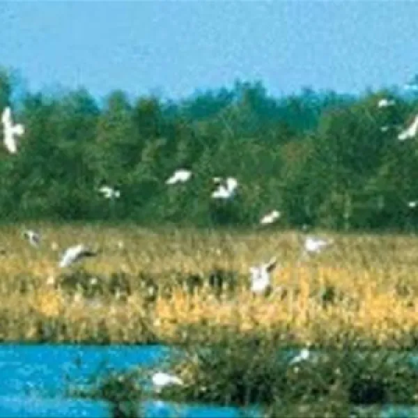 camping-de-goede-hoop-eibergen-txabe