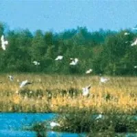 camping-de-goede-hoop-eibergen-txabe