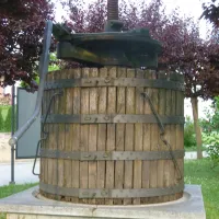 camping-sole-langhe-barolo-kyse7