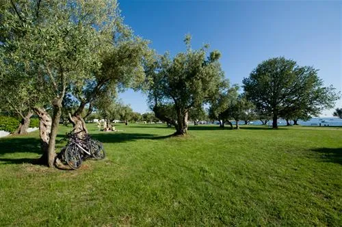 camping-polari-rovinj-dr8tb