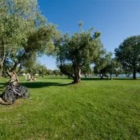 camping-polari-rovinj-dr8tb