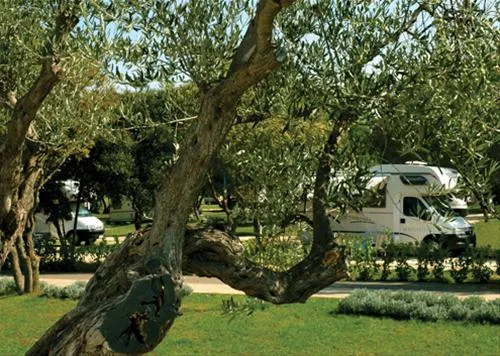 camping-polari-rovinj-fs68z