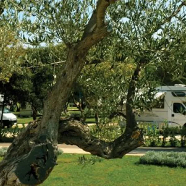 camping-polari-rovinj-fs68z