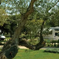 camping-polari-rovinj-fs68z
