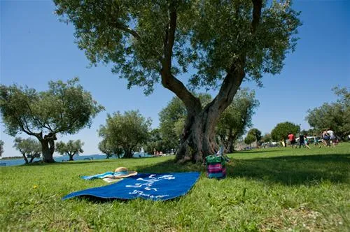 camping-polari-rovinj-gwoz3