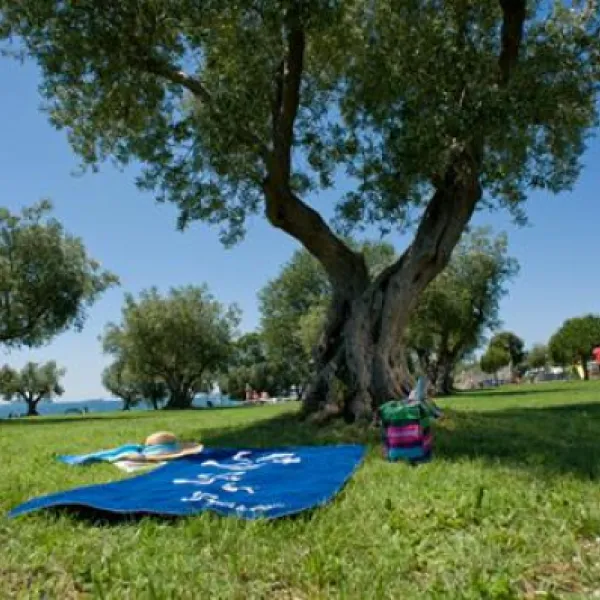 camping-polari-rovinj-gwoz3