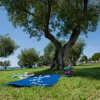 camping-polari-rovinj-gwoz3