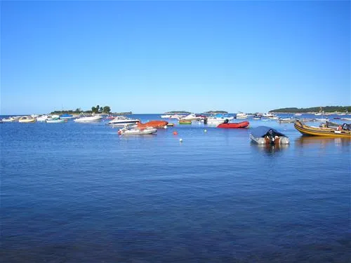 camping-polari-rovinj-jdoxj