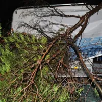 camping-polari-rovinj-lfhnl