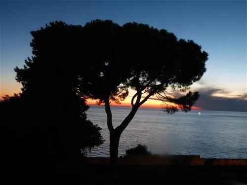 camping-polari-rovinj-r7nl9
