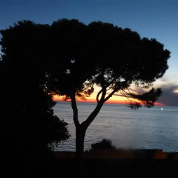 camping-polari-rovinj-r7nl9