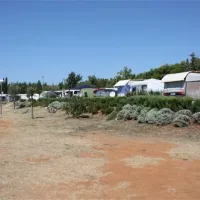 camping-polari-rovinj-zilfh