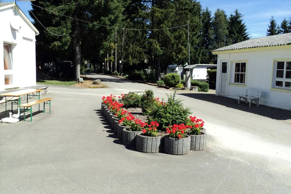 camping-la-belle-valee-butgenbach-dbpev