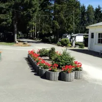 camping-la-belle-valee-butgenbach-dbpev