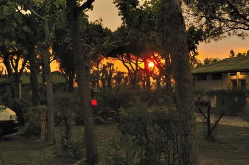 camping-miramare-cavallinopunta-sabbioni-x66bl