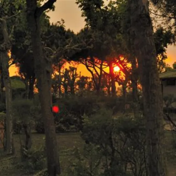camping-miramare-cavallinopunta-sabbioni-x66bl