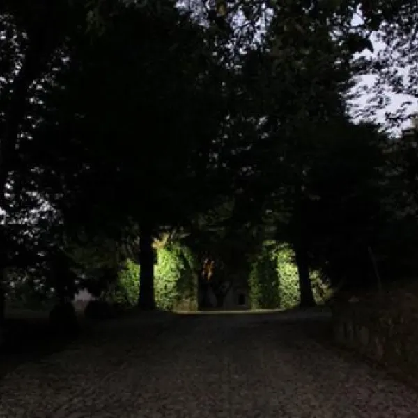 camping-lamego-lamego-cwwsi