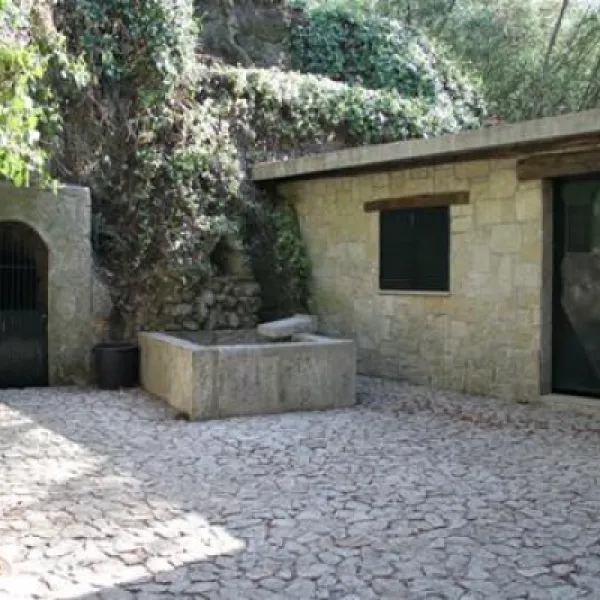 camping-lamego-lamego-ihdhm