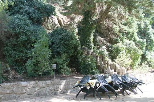camping-lamego-lamego-juvmx