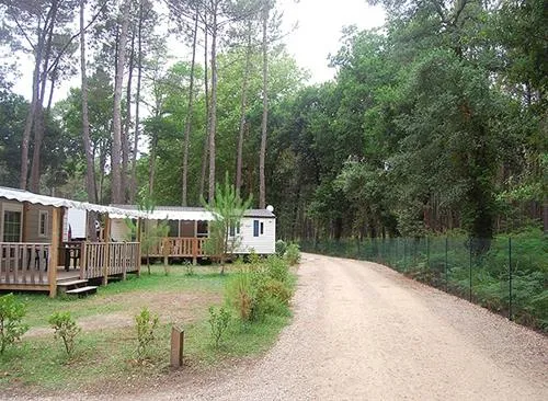 flower-camping-les-2-etangs-seignosse-cabwl
