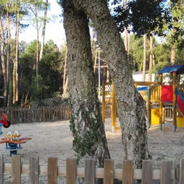 flower-camping-les-2-etangs-seignosse-nhcba