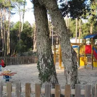 flower-camping-les-2-etangs-seignosse-nhcba