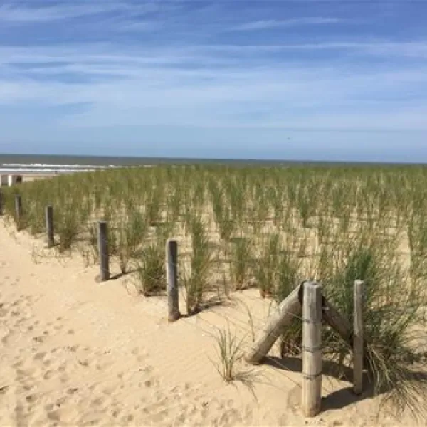 recreatiecentrum-de-noordduinen-katwijk-aan-zee-3l0v7