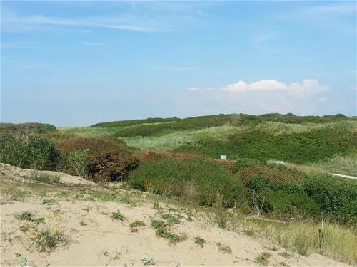 recreatiecentrum-de-noordduinen-katwijk-aan-zee-t64yx