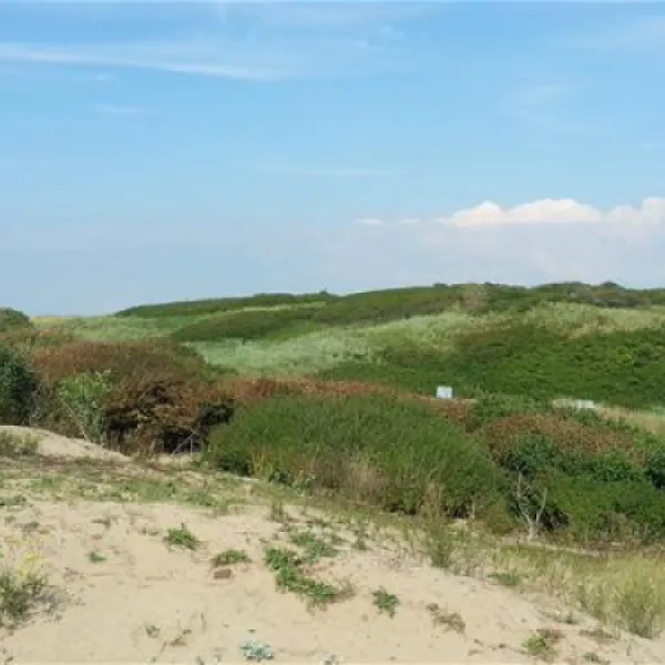recreatiecentrum-de-noordduinen-katwijk-aan-zee-t64yx