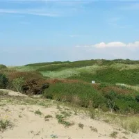 recreatiecentrum-de-noordduinen-katwijk-aan-zee-t64yx