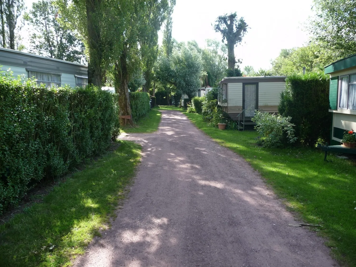 camping-le-courtil-rose-bremes-xn0x7