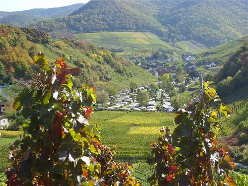 camping-zur-burgwiese-mayscho-sf6rh