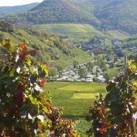 camping-zur-burgwiese-mayscho-sf6rh