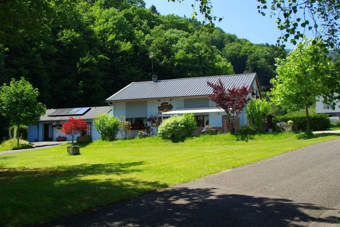 camping-municipal-les-verts-bois-freland-21fmy