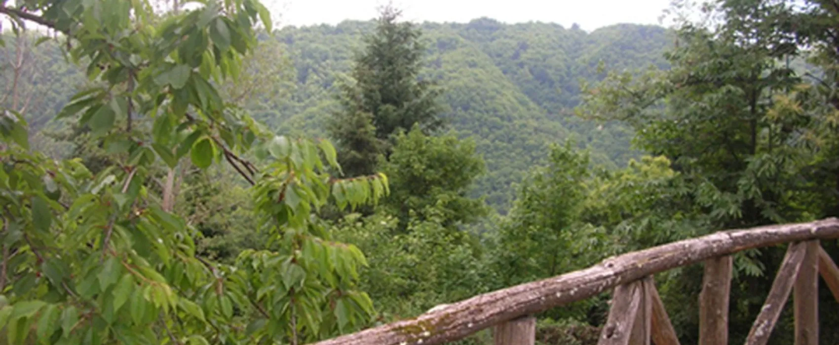 Camping Pian d'Amora