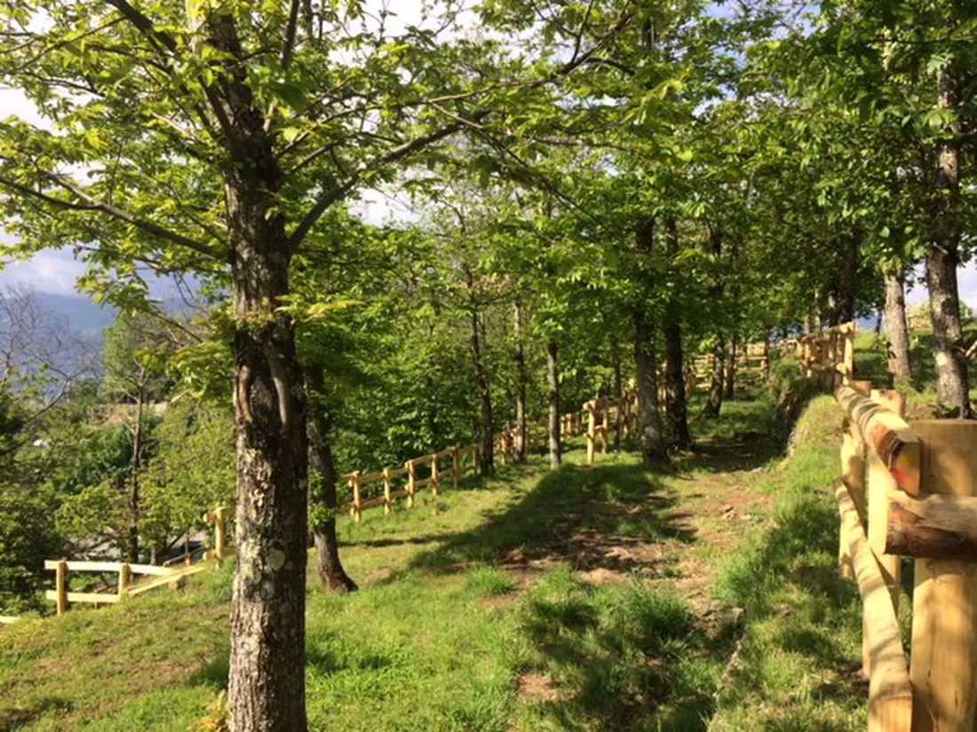 camping-pian-damora-lucca-pqklu