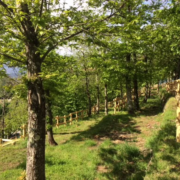 camping-pian-damora-lucca-pqklu