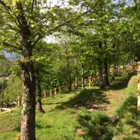 camping-pian-damora-lucca-pqklu