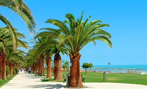 camping-village-don-diego-grottammare-samhj