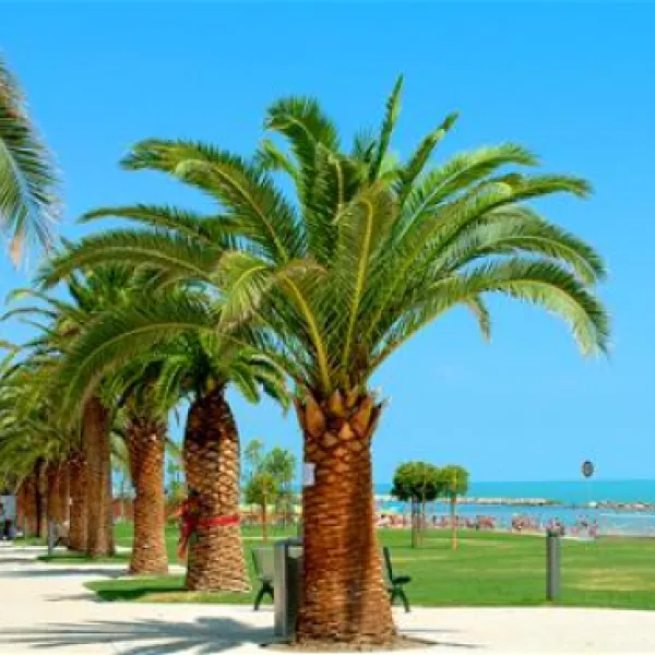 camping-village-don-diego-grottammare-samhj
