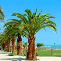 camping-village-don-diego-grottammare-samhj
