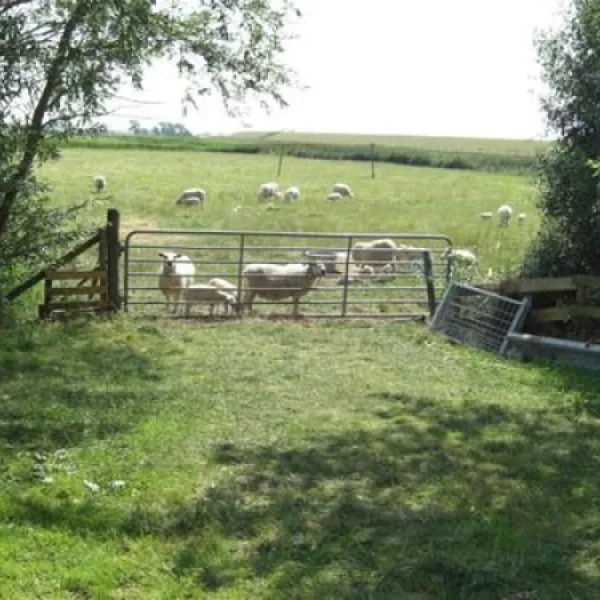 camping-sotterum-cornwerd-ha2m9