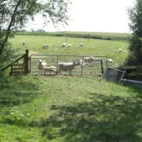 camping-sotterum-cornwerd-ha2m9