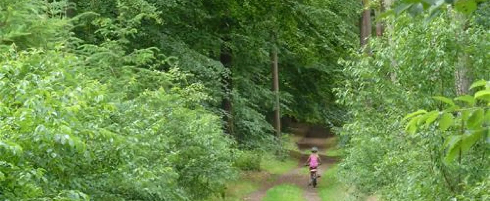Camping- und Wohnmobilpark Naturcamping Malchow