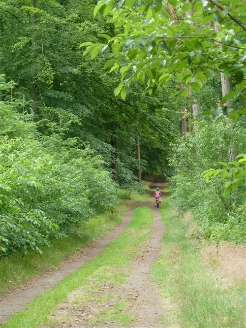 camping-und-wohnmobilpark-naturcamping-malchow-malchow-dxkli
